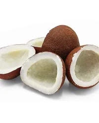 Coconut (Copra)
