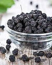 Blueberry plum Dry
